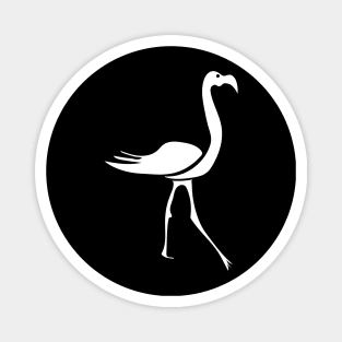 Flamingos flamingo Magnet